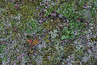 BUITEN BEELD Foto: 248869