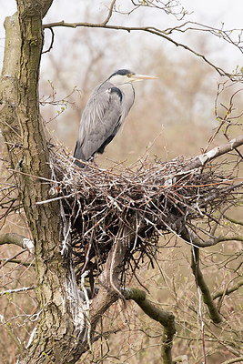 BUITEN BEELD Foto: 248889