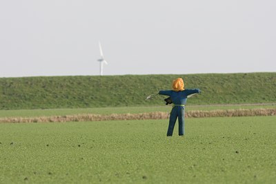 BUITEN BEELD Foto: 24007