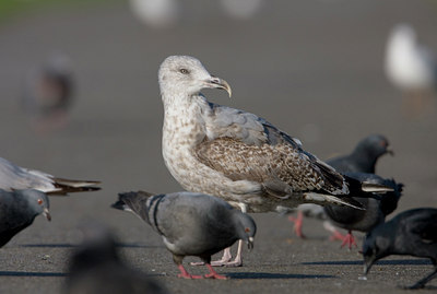 BUITEN BEELD Foto: 24027