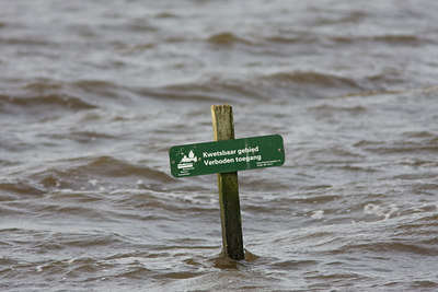 BUITEN BEELD Foto: 24112