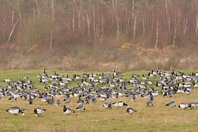 BUITEN BEELD Foto: 24115