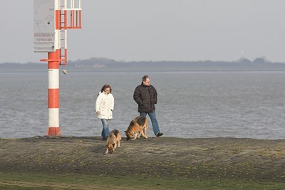 BUITEN BEELD Foto: 24135
