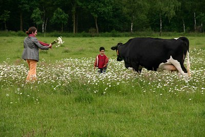 BUITEN BEELD Foto: 24142