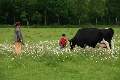BUITEN BEELD Foto: 24143