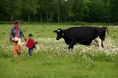 BUITEN BEELD Foto: 24144