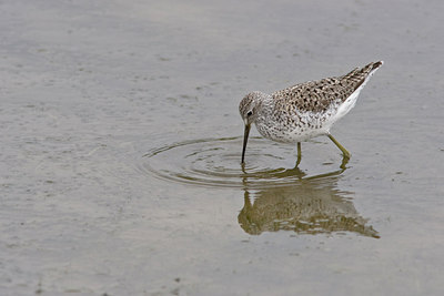 BUITEN BEELD Foto: 24167