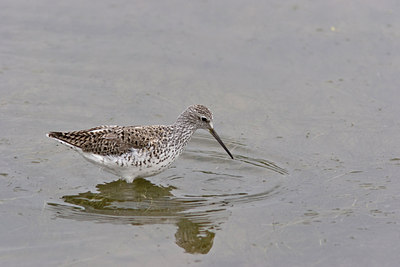 BUITEN BEELD Foto: 24170