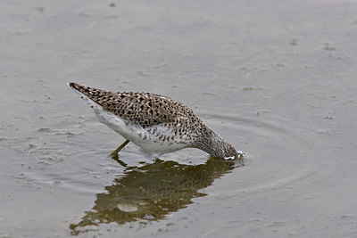 BUITEN BEELD Foto: 24173