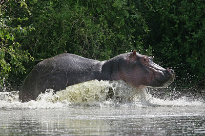 BUITEN BEELD Foto: 24198