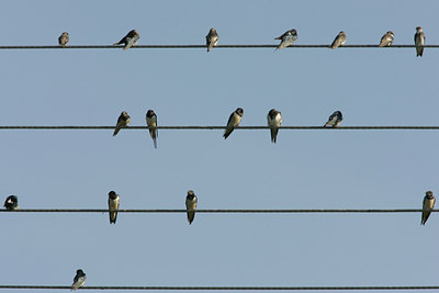 BUITEN BEELD Foto: 24218