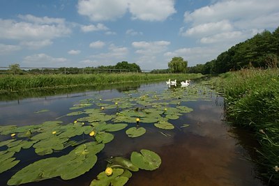 BUITEN BEELD Foto: 24228
