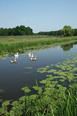 BUITEN BEELD Foto: 24229