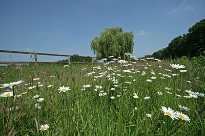 BUITEN BEELD Foto: 24231
