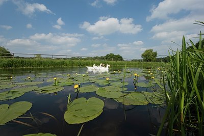 BUITEN BEELD Foto: 24232