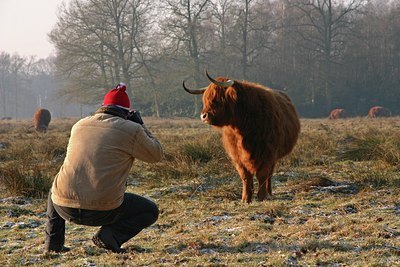 BUITEN BEELD Foto: 24273