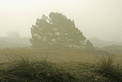 BUITEN BEELD Foto: 24285