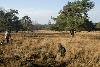 BUITEN BEELD Foto: 24301