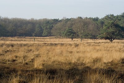 BUITEN BEELD Foto: 24323