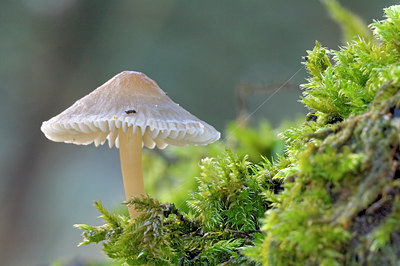 BUITEN BEELD Foto: 24330