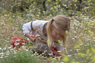 BUITEN BEELD Foto: 24350