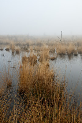 BUITEN BEELD Foto: 24367