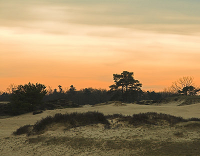 BUITEN BEELD Foto: 24371