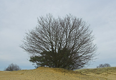 BUITEN BEELD Foto: 24372