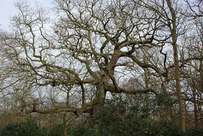 BUITEN BEELD Foto: 24386