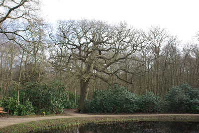 BUITEN BEELD Foto: 24389