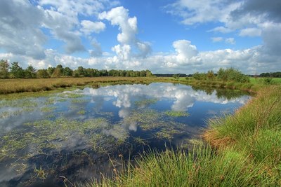 BUITEN BEELD Foto: 24425