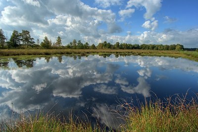 BUITEN BEELD Foto: 24426