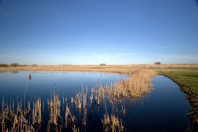 BUITEN BEELD Foto: 24462