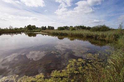 BUITEN BEELD Foto: 24478