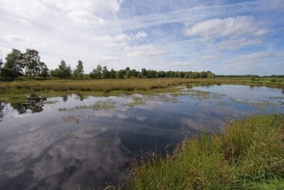 BUITEN BEELD Foto: 24479