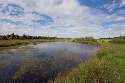 BUITEN BEELD Foto: 24482