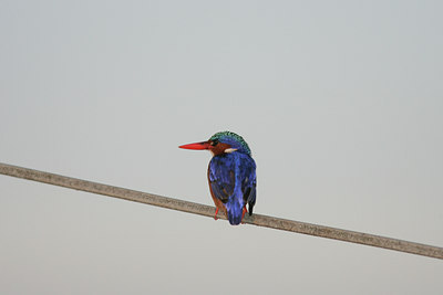 BUITEN BEELD Foto: 24497
