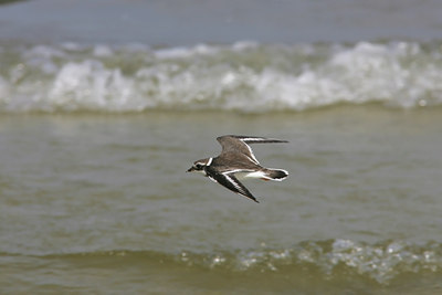 BUITEN BEELD Foto: 24504