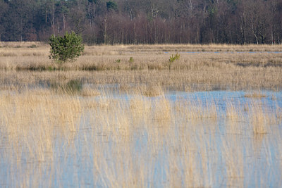 BUITEN BEELD Foto: 24526