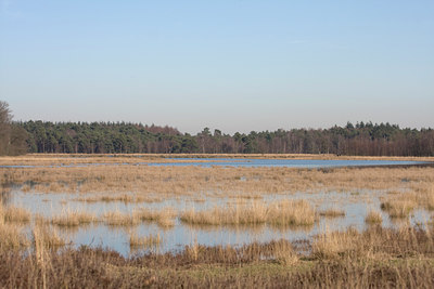 BUITEN BEELD Foto: 24533
