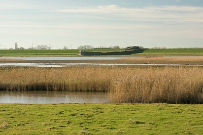 BUITEN BEELD Foto: 24543