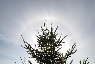BUITEN BEELD Foto: 24555