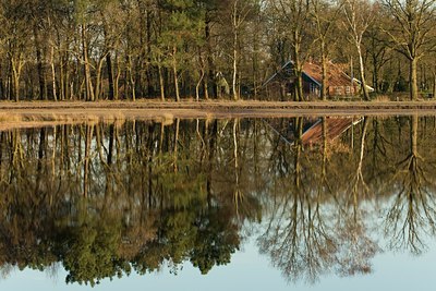 BUITEN BEELD Foto: 24624