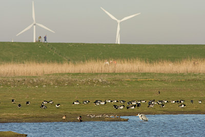 BUITEN BEELD Foto: 24633