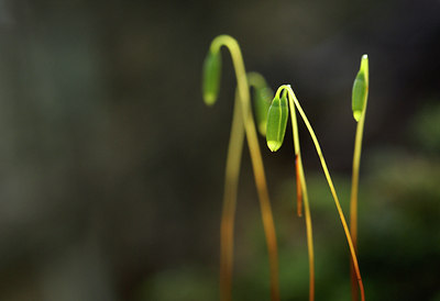 BUITEN BEELD Foto: 24637