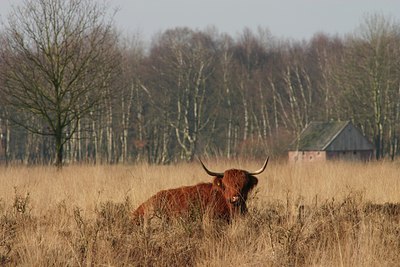 BUITEN BEELD Foto: 24642