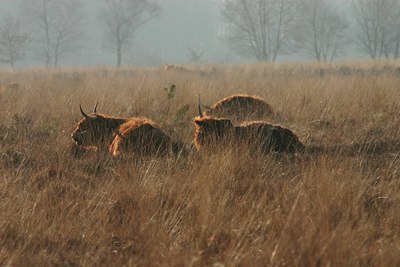 BUITEN BEELD Foto: 24643