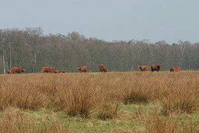 BUITEN BEELD Foto: 24644
