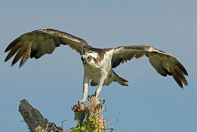 BUITEN BEELD Foto: 24653