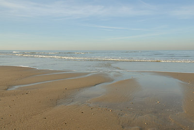 BUITEN BEELD Foto: 24654